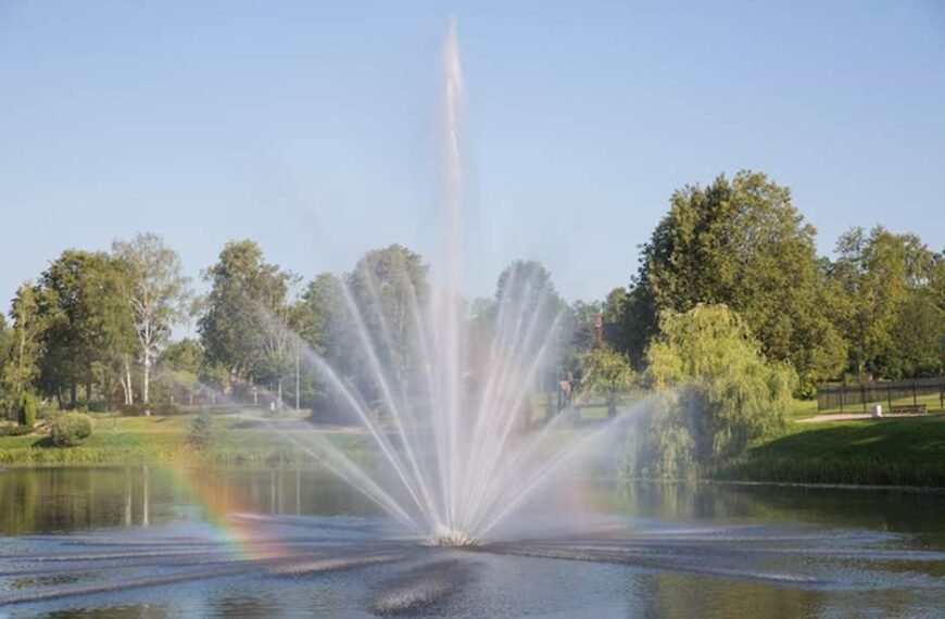 5 Things to Consider Before Installing a Large Pond Fountain