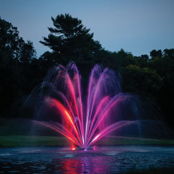 How to Design a Safe and Beautiful Pond with Underwater and Perimeter Lighting