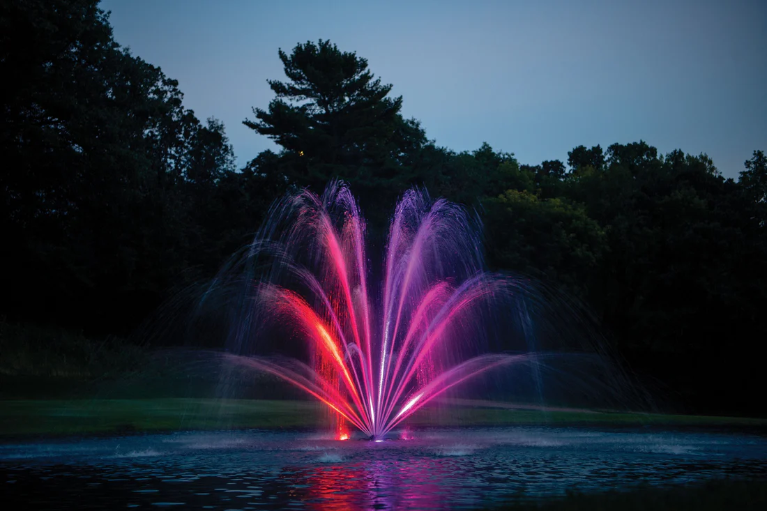 How to Design a Safe and Beautiful Pond with Underwater and Perimeter Lighting