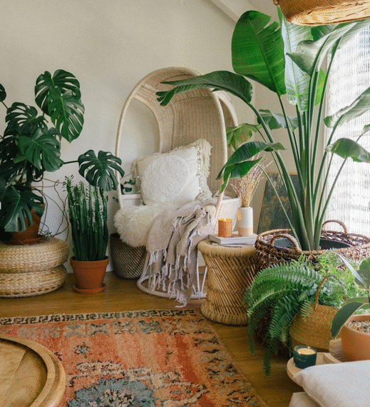 The High Impact Upgrade: Why Statement Planters are the Smartest Investment in Home Improvement