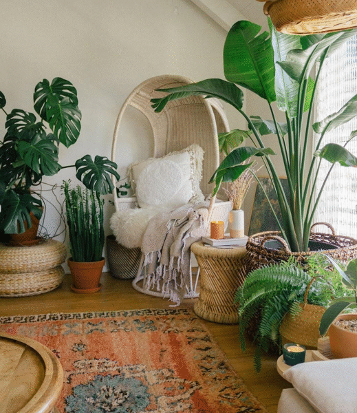 The High Impact Upgrade: Why Statement Planters are the Smartest Investment in Home Improvement